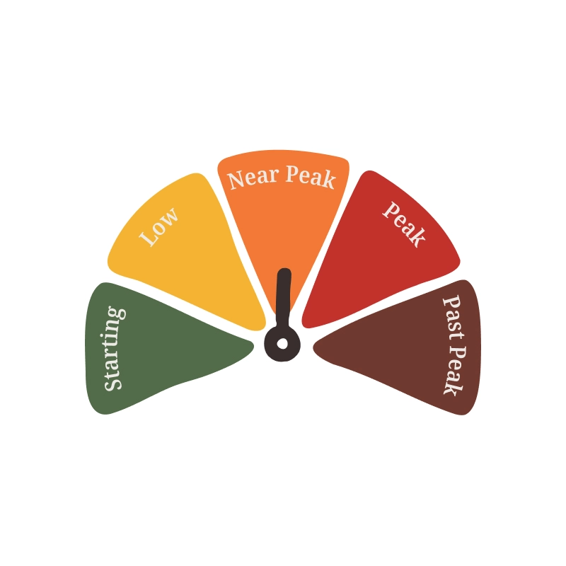 fall foliage is at near peak.