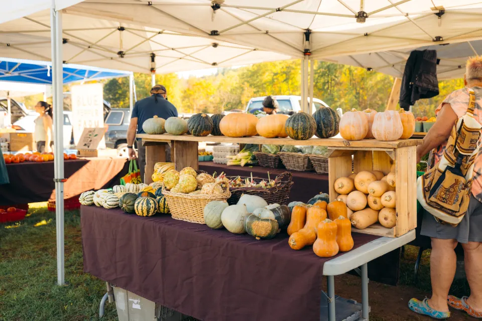 A squash and pumpkin stand at a farmers market.