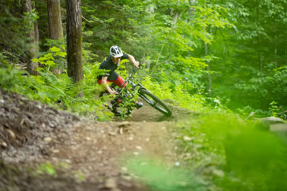 A mountain biker amongst green trees