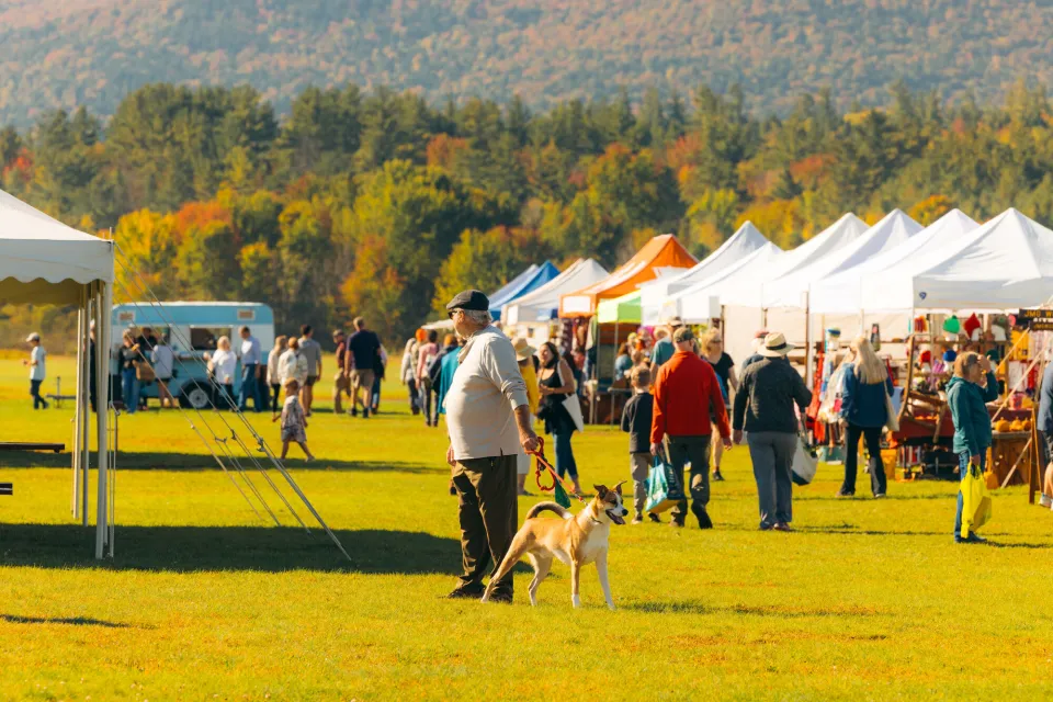 A man walking his dog at a farmers market.