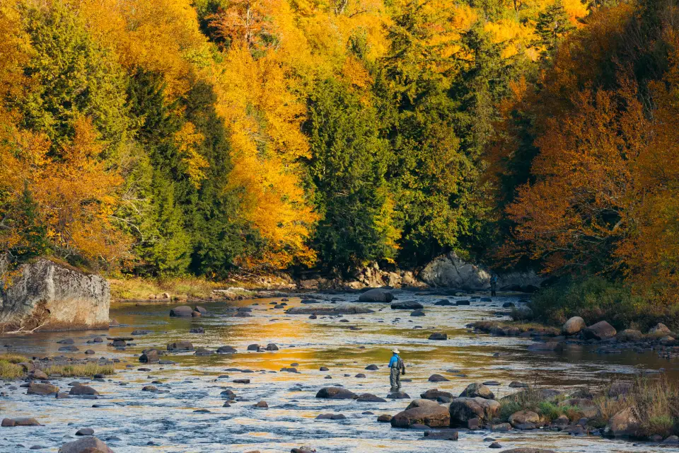 Someone fly fishing during the fall