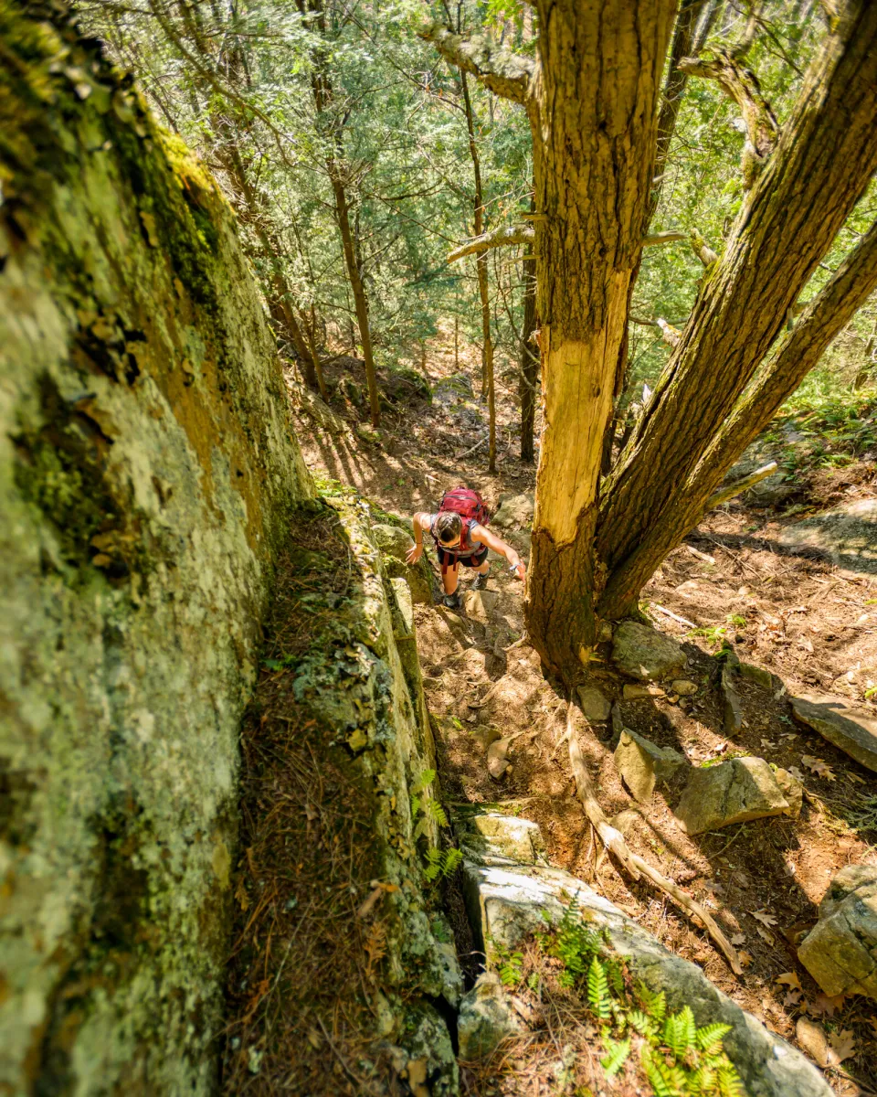 A hiker on a trail during the spring.