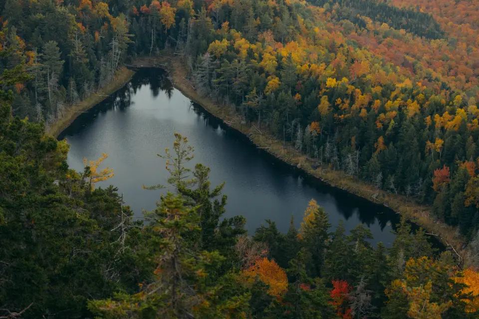 An aerial view of a lake during the fall.