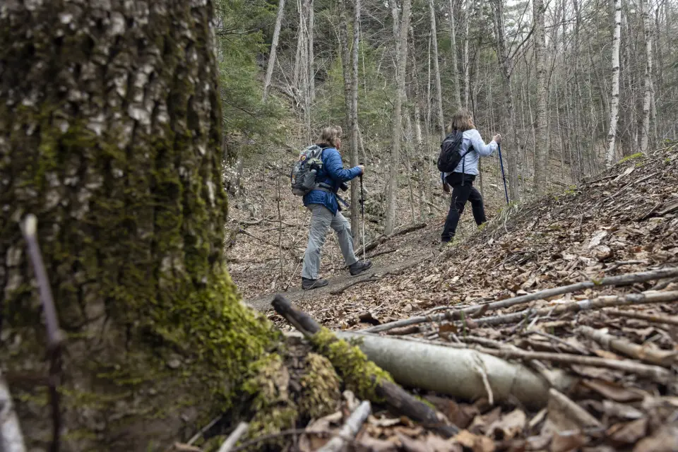 Two women walking in the woods.