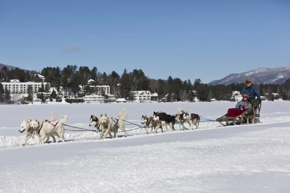 A team of sled dogs pull a sled across a frozen lake on a sunny day. A small town is visible on the shoreline.