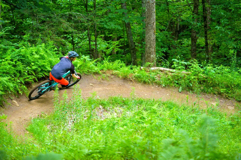 A person mountain biking on a trail during the summer.