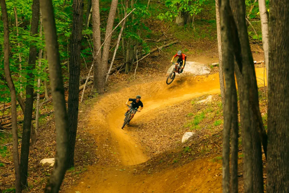 Two mountain bikers round a corner on a forest trail.