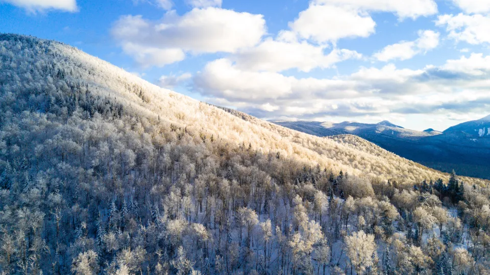 A winter landscape in Lake Placid.