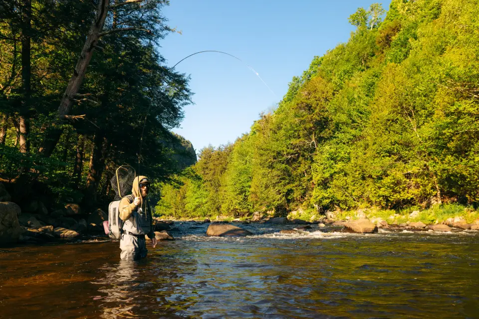 A fly fisher wading in the water