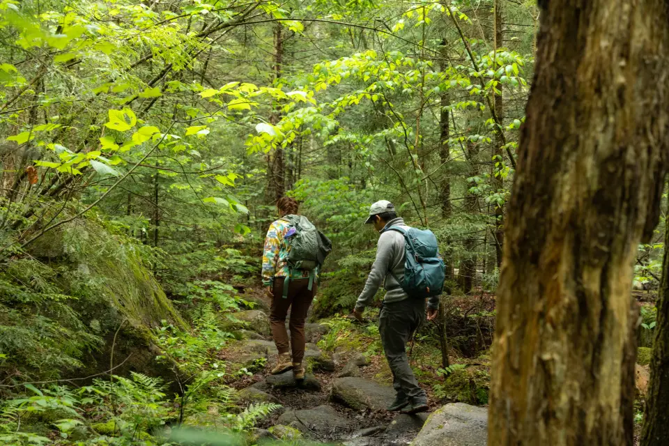 Two people hiking.