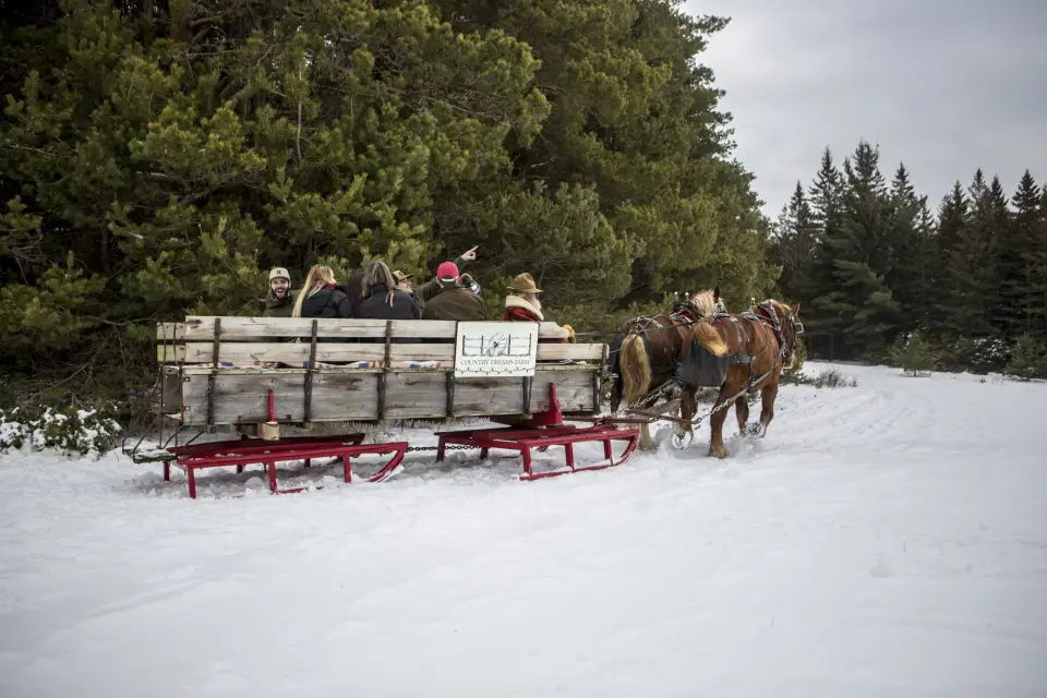 A sleigh ride in the snow