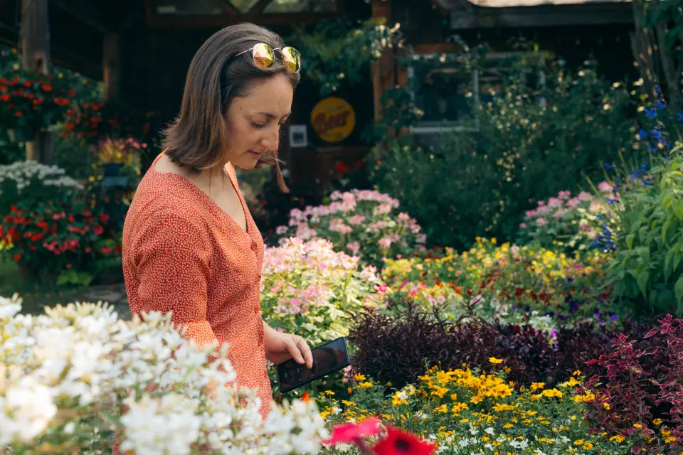 A woman shopping for flowers.