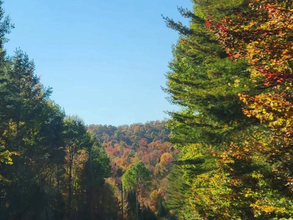 Fall foliage in Lake Placid.