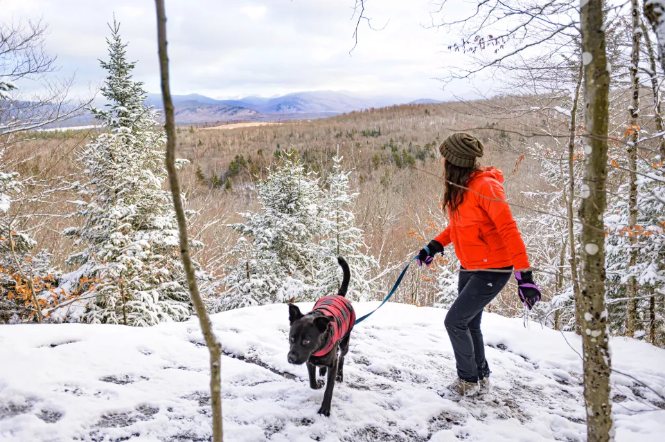 A woman hiking with her dog, standing at the top of a wintery summit.