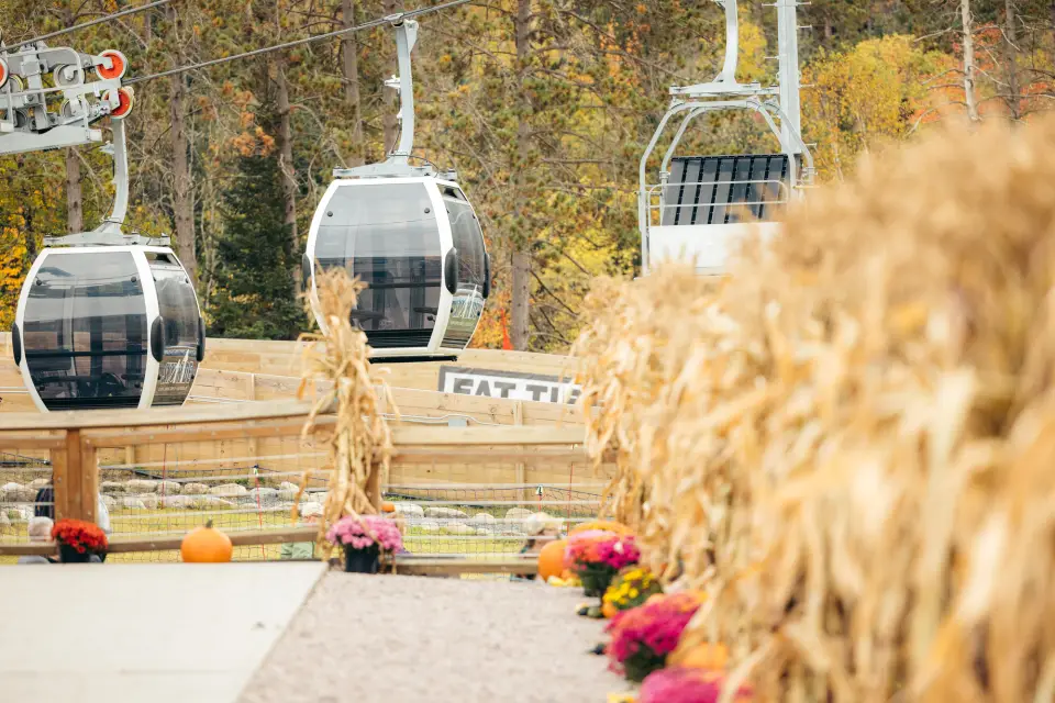 The skyride gondola during the fall.