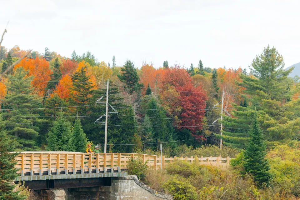 The Adirondack Rail Trail with fall foliage.